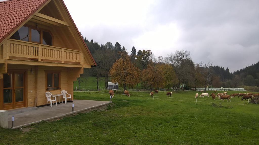 Ferienhaus Dorfruhe Sankt Stefan an der Gail Camera foto